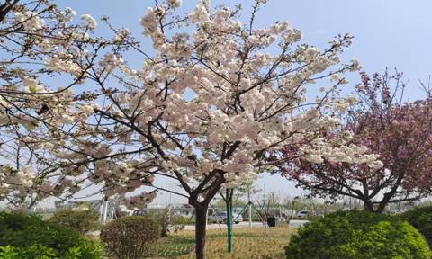 图示, 示意图
中度可信度描述已自动生成:ver1